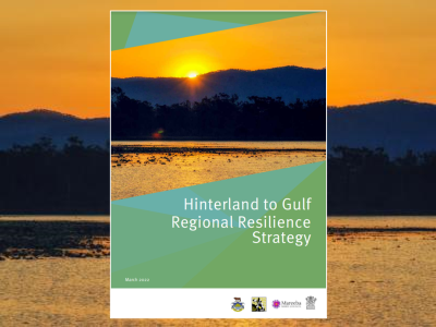 Hinterland to Gulf Regional Resilience Strategy