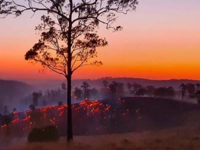 2019 Queensland Bushfires