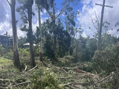 Clean up program - SEQ storms 2023