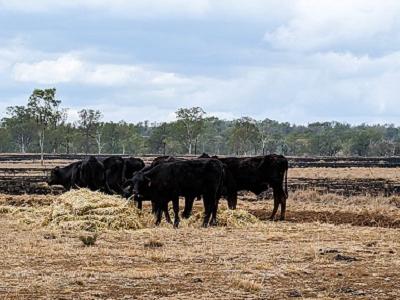 Rural Landholder Recovery Grants Program Northern Queensland Bushfires 2023