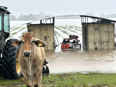 Flooded farm