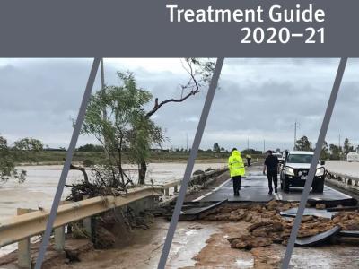 treatment guide