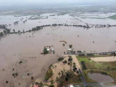 Primary producer disaster recovery grants TC Alfred